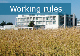 working_rules.jpg