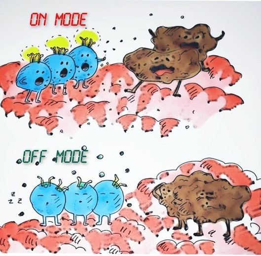 Oncology Lausanne Irving group fig on off t cells.jpg