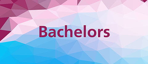 unil-fdca-bachelors