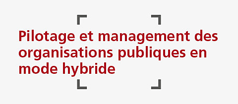 Pilotage et management des organisations publiques en mode hybride.jpg
