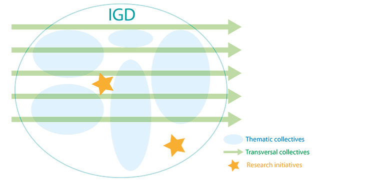 IGD-structure.jpg