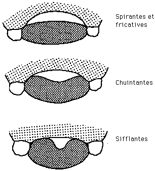 Figure 3.13 : consonnes fricatives dorsales et latérales